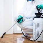 pest control 1